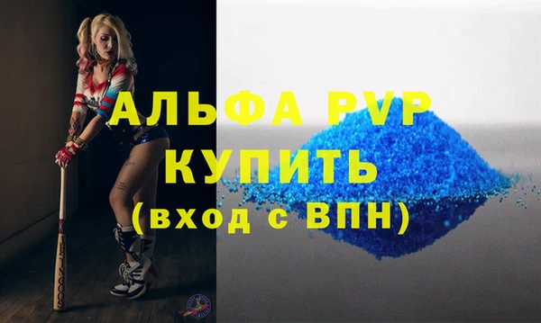 стаф Кулебаки