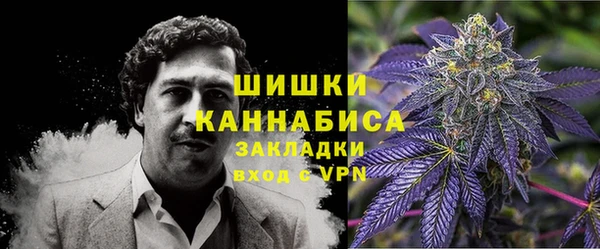 стаф Кулебаки